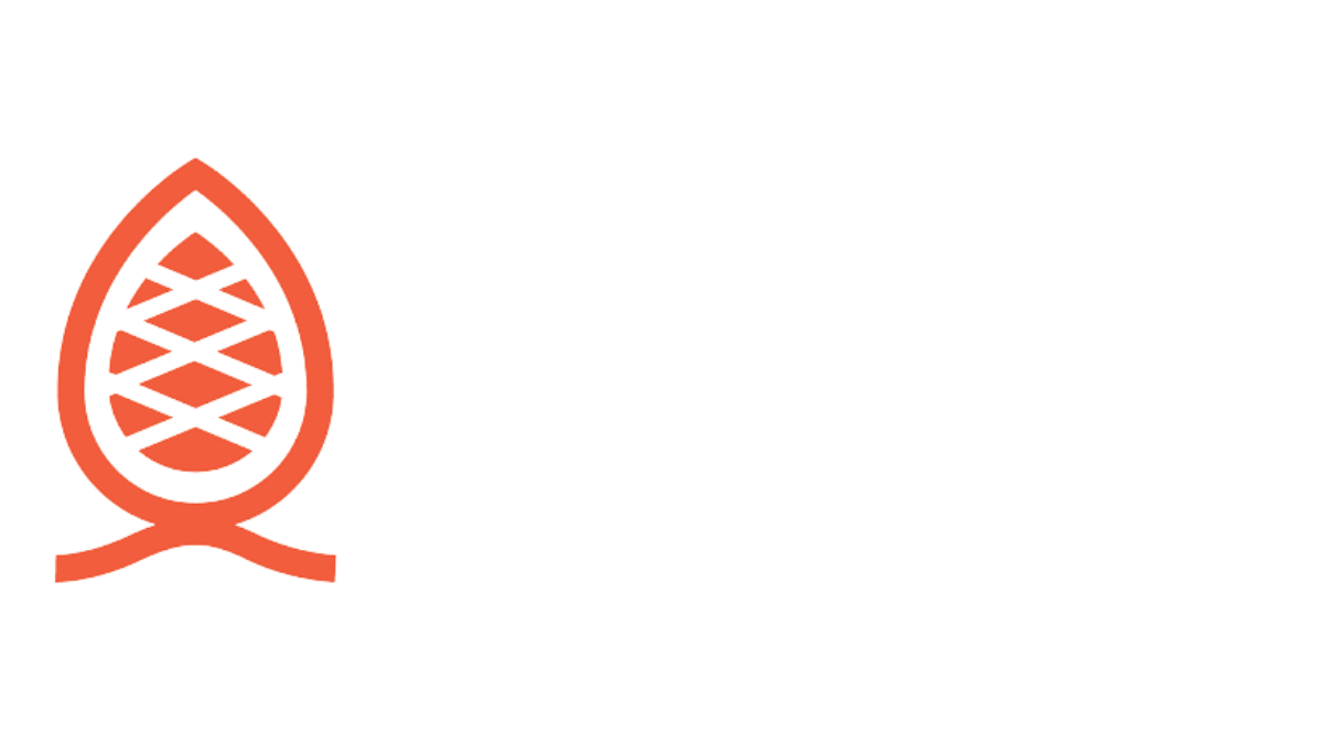 Steve Jobs Academy
